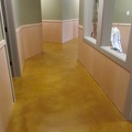 Basement floor after staining