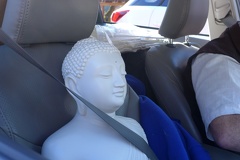 Protecting the Buddharupa for the Thanksgiving retreat