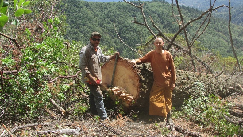 Ajahn Nyaniko with Eric, who helped fell the Madrone