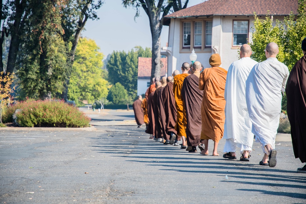 CTTB and Abhayagiri monks together, walking to the meal