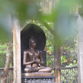 12 Dhammacaka Buddha Rupa