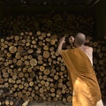 13 Stockpiling Wood