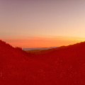129) Abhayagiri Valley at Dawn.jpg