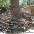 Accumulating wood piles
