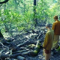 Tan Nisabho and Tan Suddhiko evaluating the wood piles