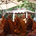 At the edge of the Sangha