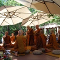 The Sāmaṇeras approach Luang Por