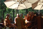 The new Bhikkhus admitted to the Sangha