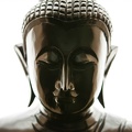 A Buddha image in the Abhayagiri shrine room