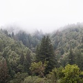 Mist above the Abhayagiri mountain