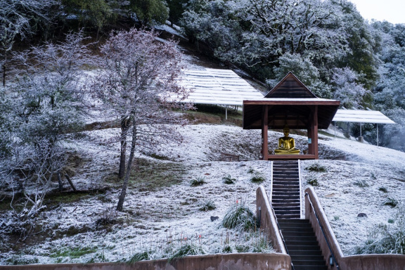 The monastery's outdoor Buddha shrine after an overnight snow in mid February.
