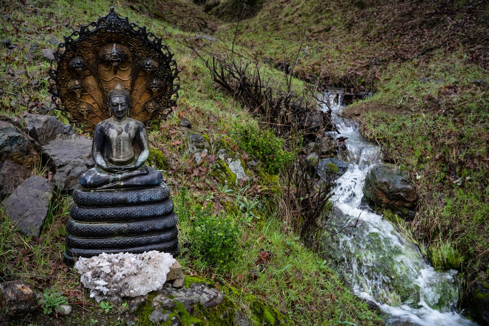 An outdoor Buddha image beside a freshly-swollen creek in early February.