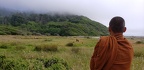 Ajahn Sek watches a herd of elk resting near the coast