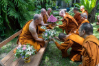 The Wat Pah Nanachat Sangha asking forgiveness