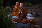 Ajahn Ñaniko leads chanting during an evening puja at the future chedi site, located above the Cool Oaks trail. 