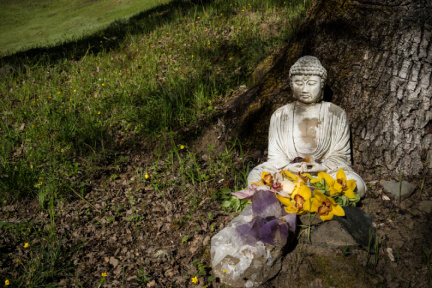 Flowers retired from the Dhamma hall decorate an outside Buddharūpa in mid-April. 