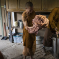 Dhammavavro applies mordant to a robe alongside Ajahn Ñaniko, the abbot of Abhayagiri, who dyed a robe at the same time. It's common for a novice to have dedicated help through this process from a more senior monk.