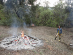 Fire Prevention and Forest Work 