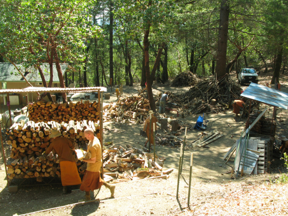 Forestry Work