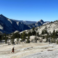 Yosemite 2021 (2).jpg