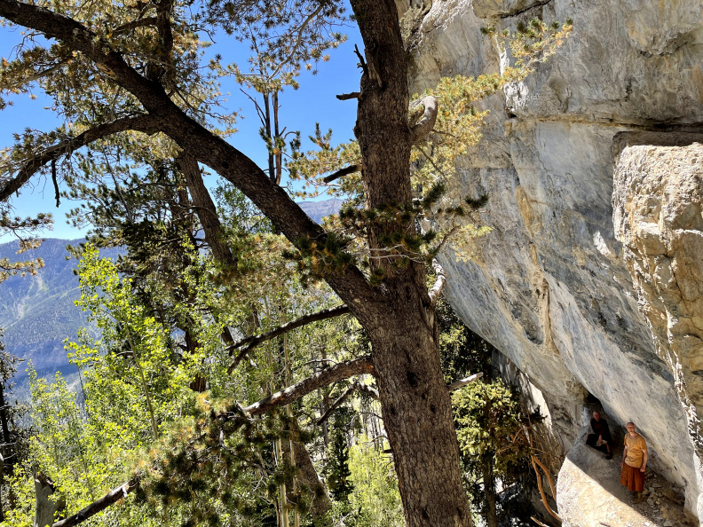 Yosemite 2021 (7).jpg