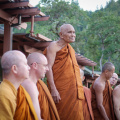 19 P1220745
